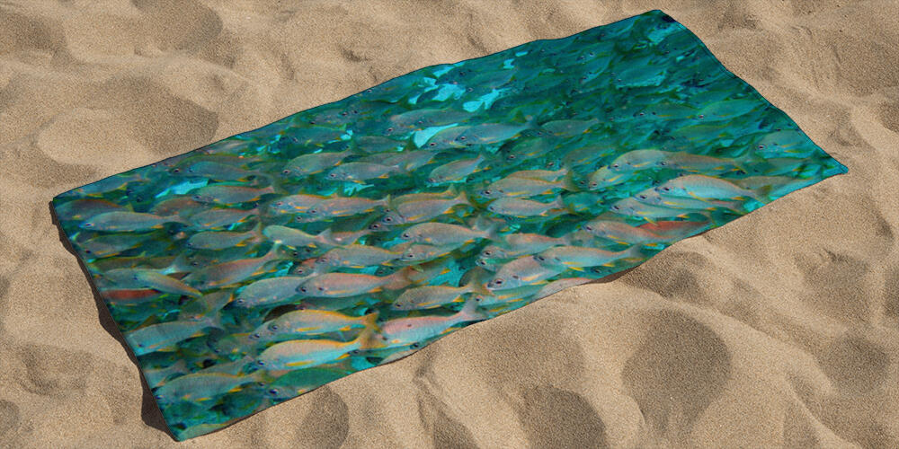 Fish shoal, 