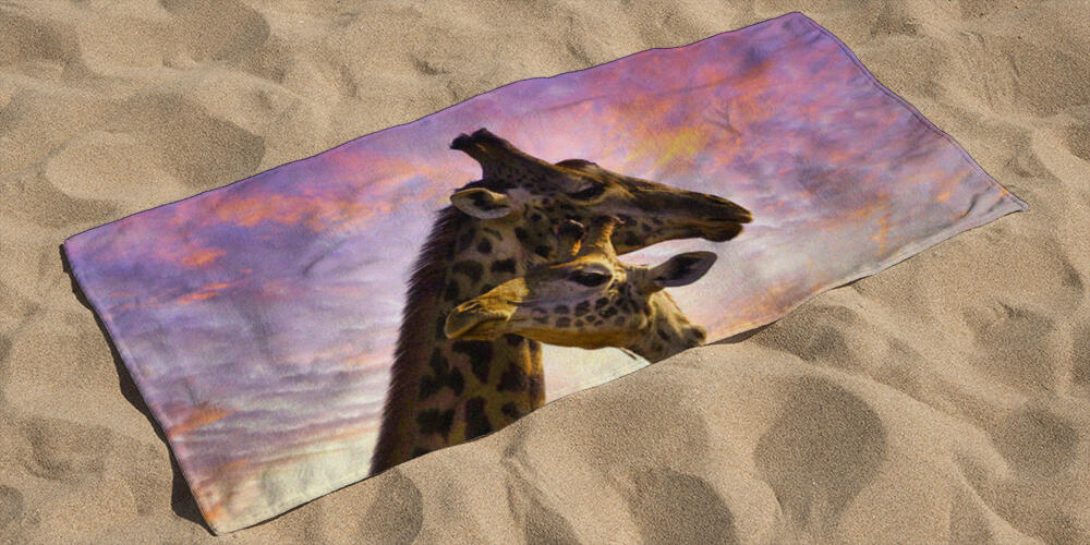 Giraffes and sunset in Tsavo East and Tsavo West National Park in Kenya, 