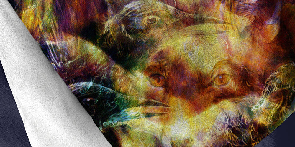 the phoenix bird  and fox collage, 