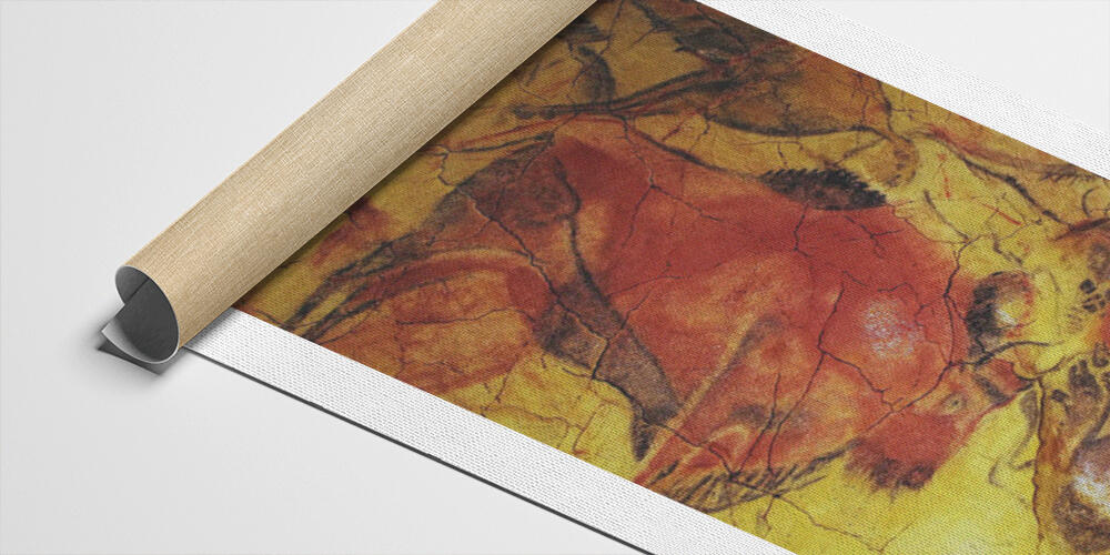 Tessuto Canvas