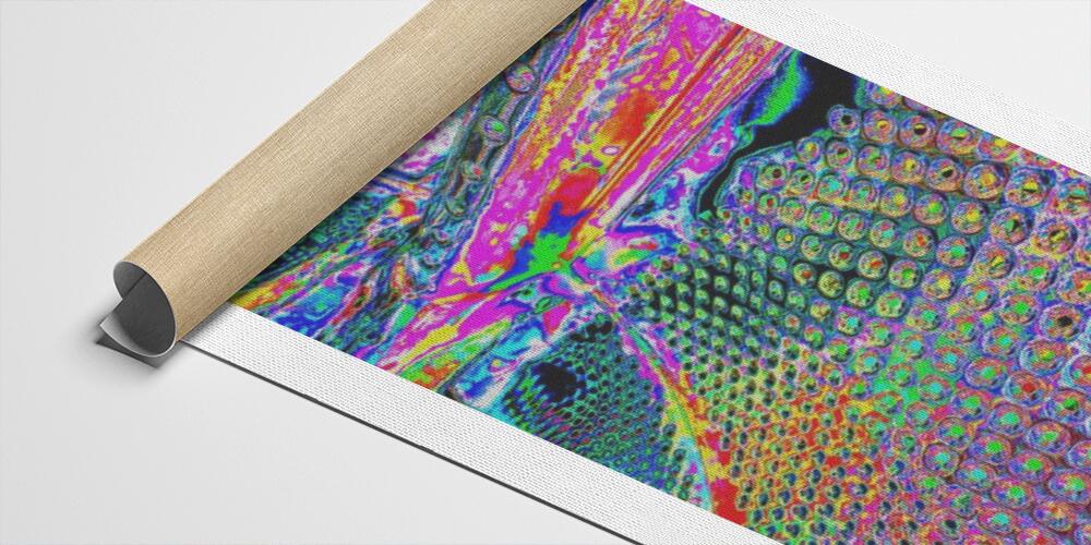 Tessuto Canvas