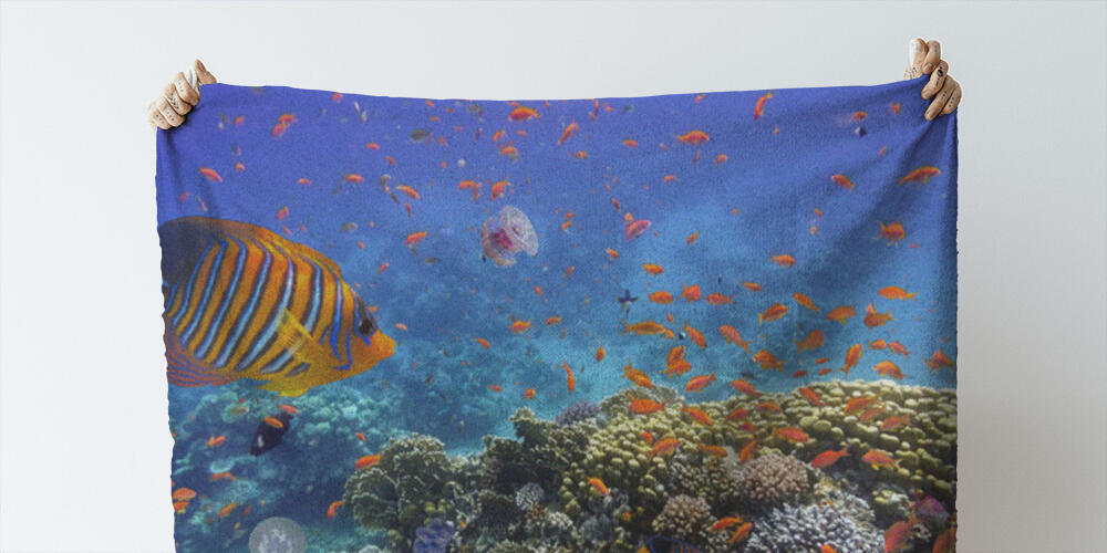 Coral Reef and Tropical Fish in the Red Sea, 