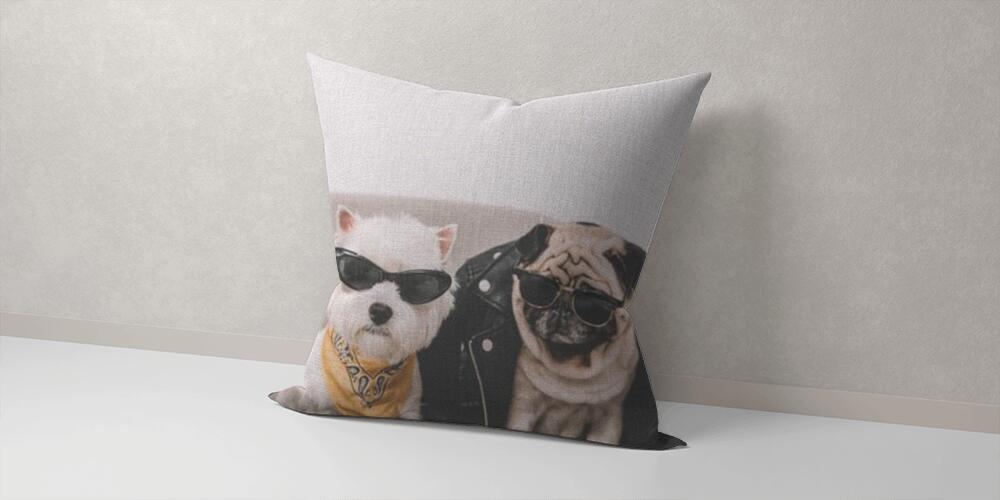 stylish dogs in sunglasses, 