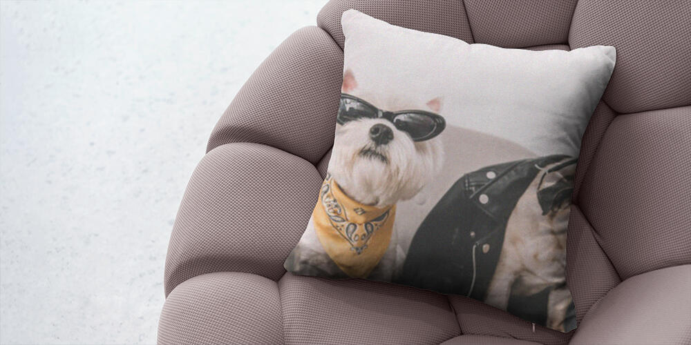 stylish dogs in sunglasses, 