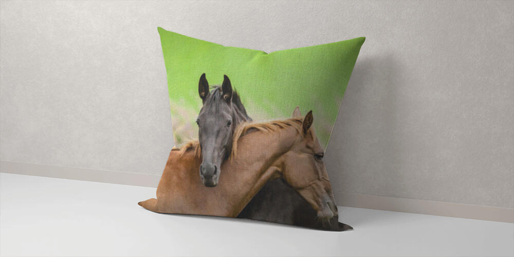 Two horses embracing, 