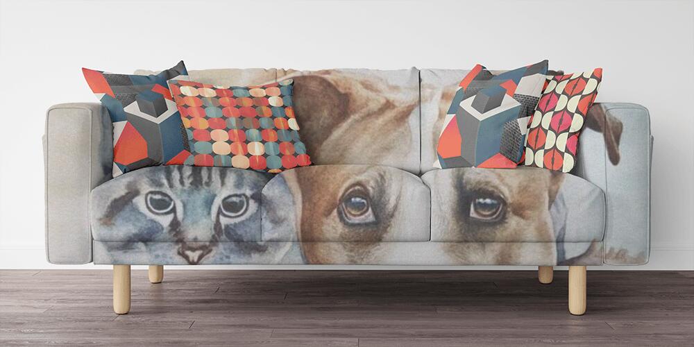 Dog and cat are the best friends, 