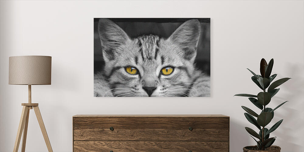 Pannelli fotografici