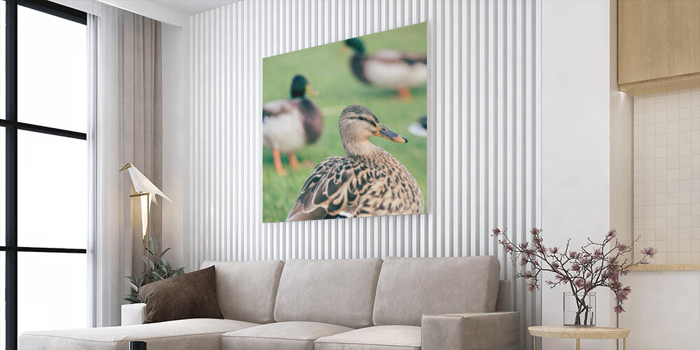 Pannelli fotografici