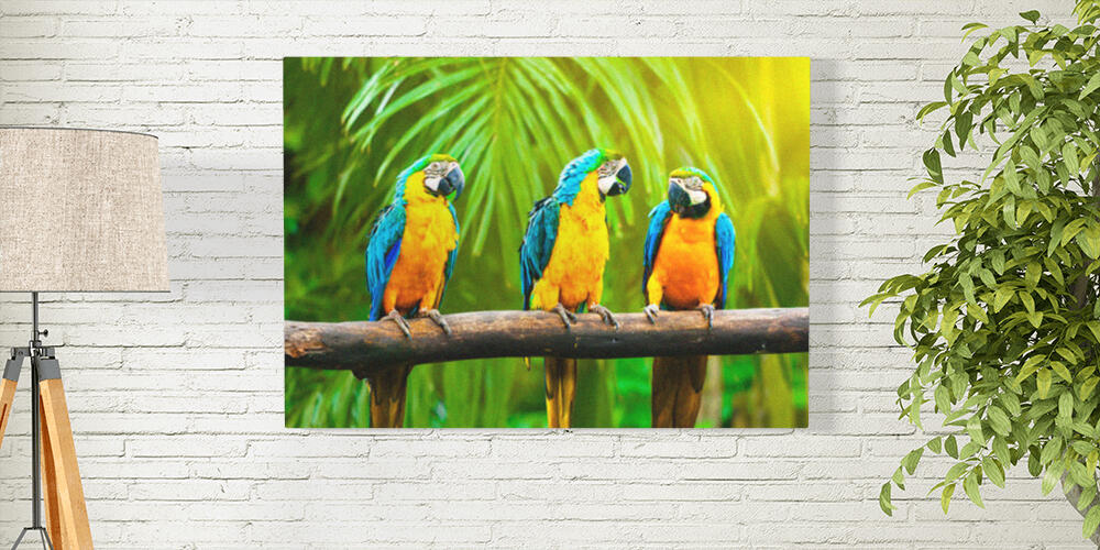 Pannelli fotografici