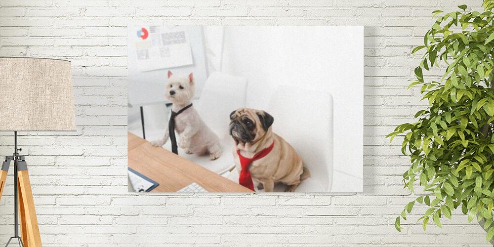 Pannelli fotografici