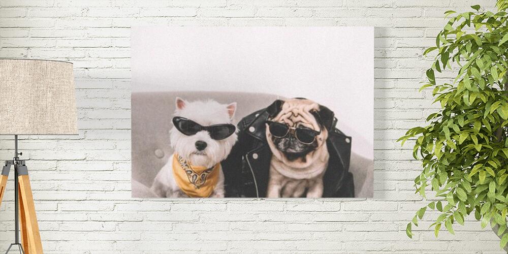 Pannelli fotografici