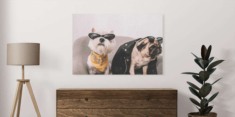 Pannelli fotografici