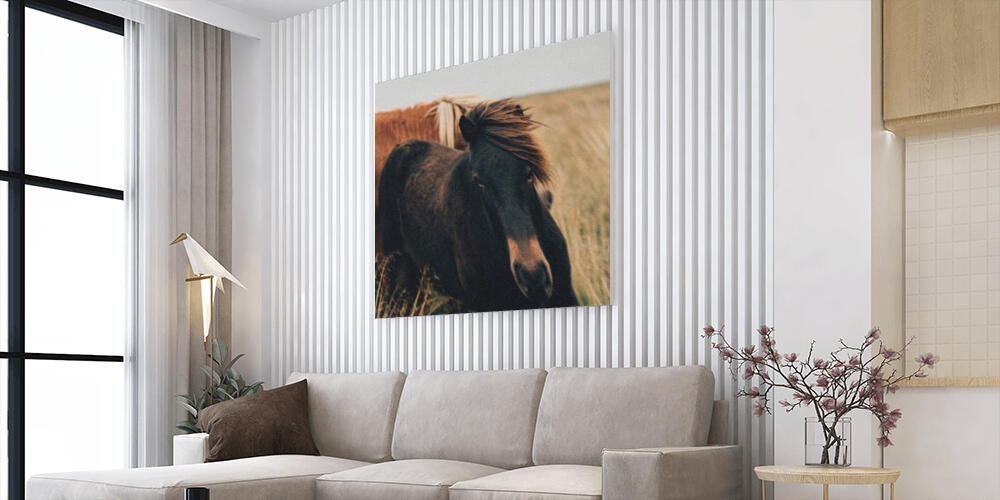 Pannelli fotografici