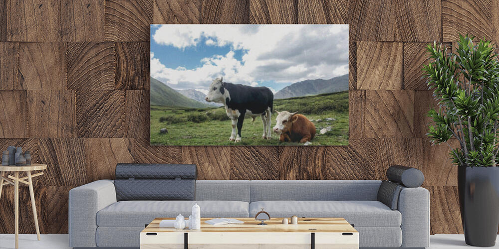 Pannelli fotografici