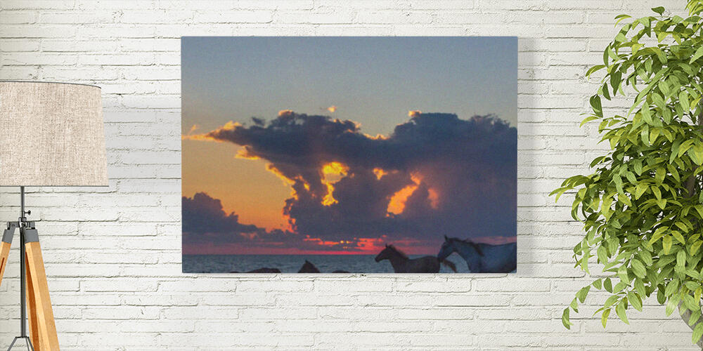 Pannelli fotografici