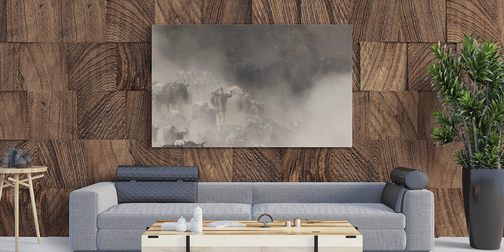 Pannelli fotografici