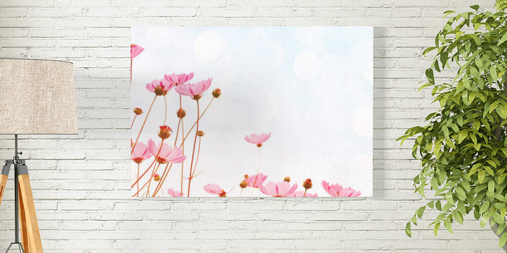 Flower background with pink wild flowers against the background of the sky, 