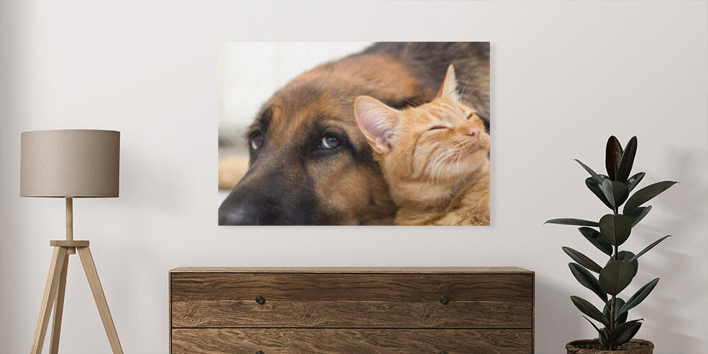 Pannelli fotografici