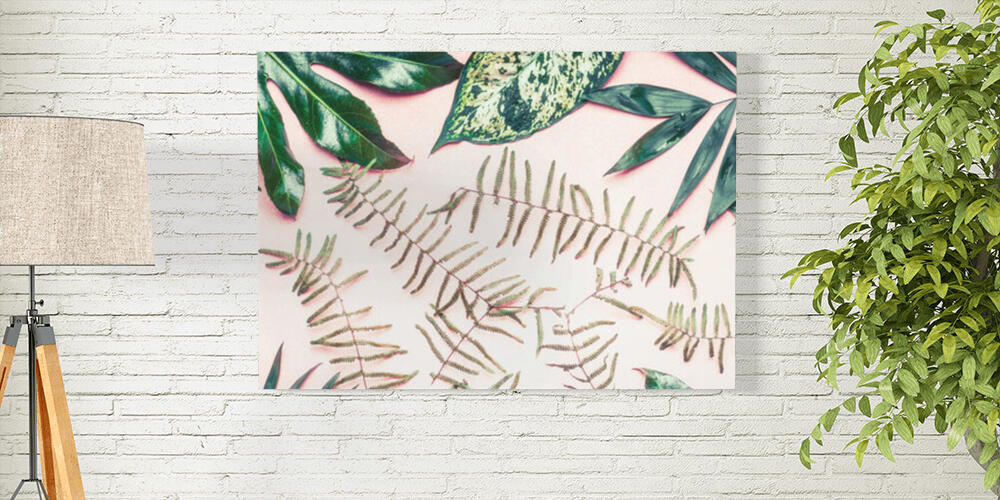 Creative layout made of various tropical palm and fern leaves on pastel pink background, 