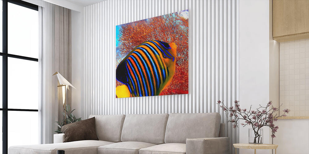 Pannelli fotografici