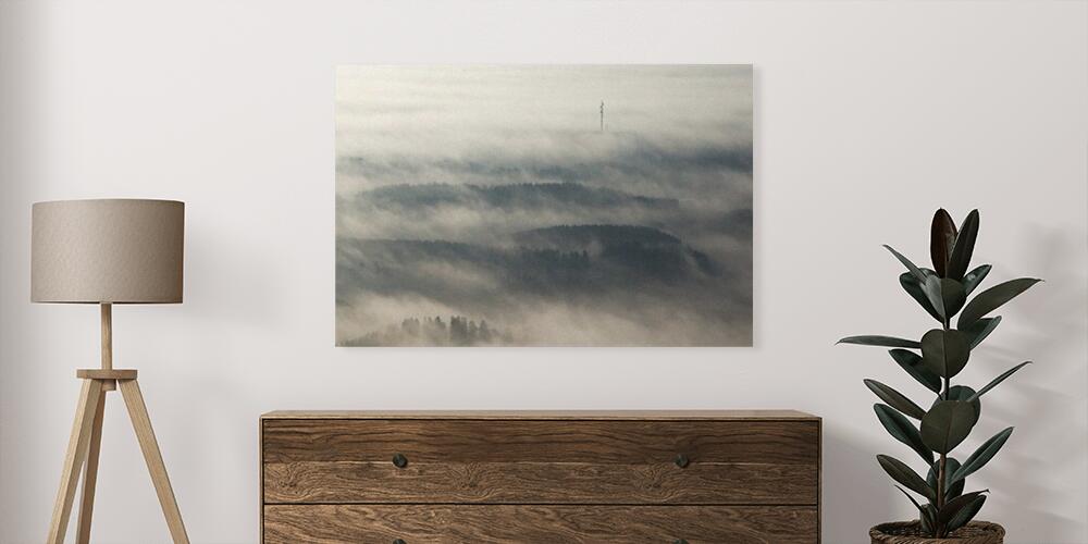 Foresta avvolta nella nebbia, 