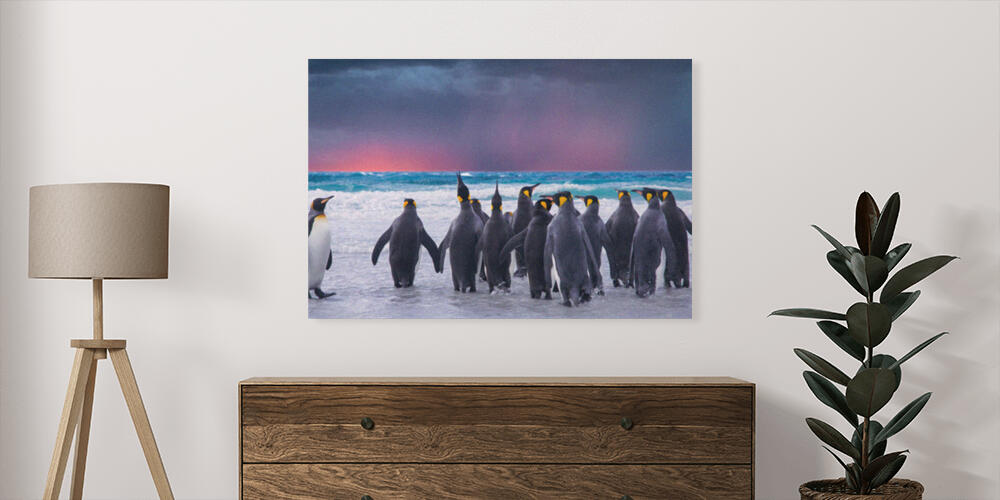 Pannelli fotografici