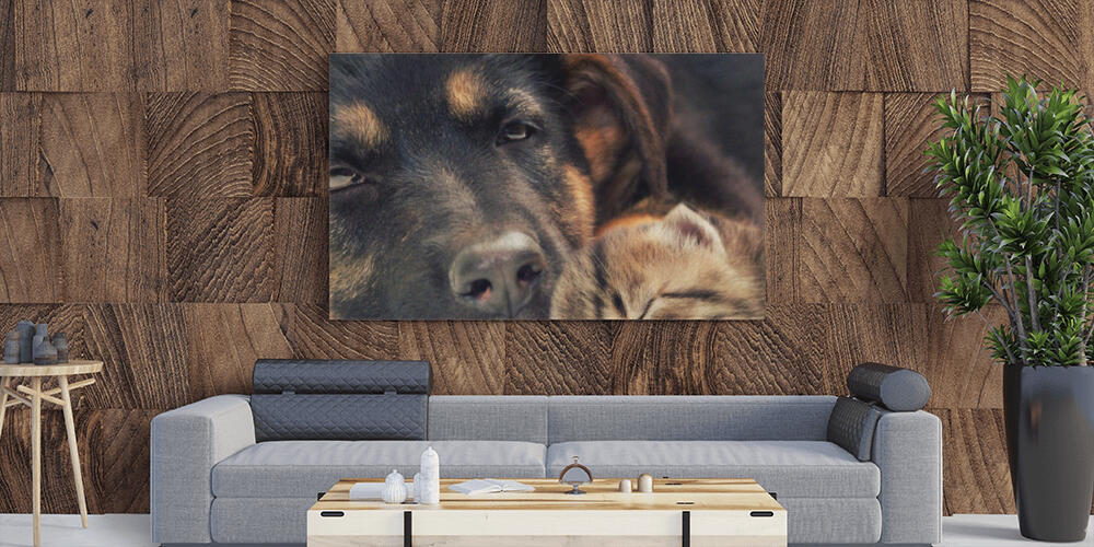 Pannelli fotografici