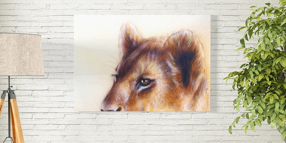 Pannelli fotografici