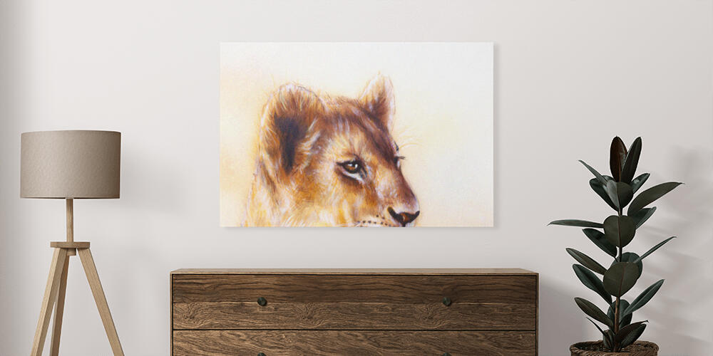 Pannelli fotografici