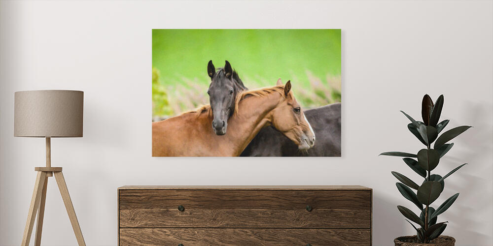 Pannelli fotografici