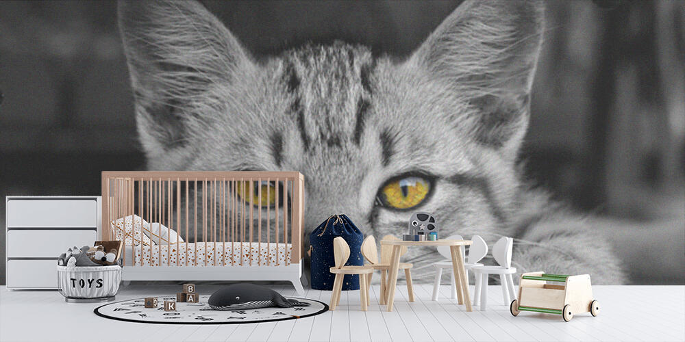 Black & Yellow, Bambini