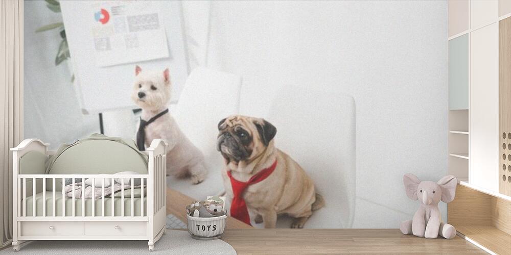 business dogs in neckties, Bambini