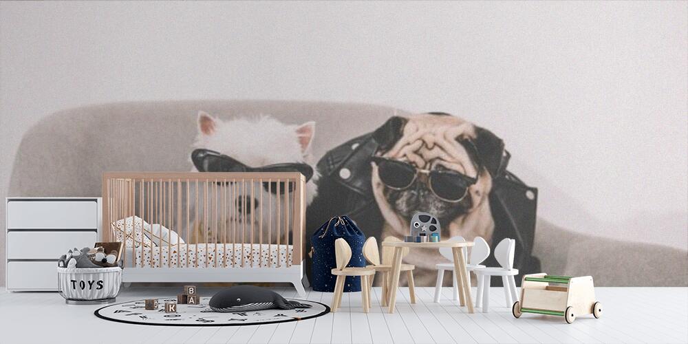 stylish dogs in sunglasses, Bambini