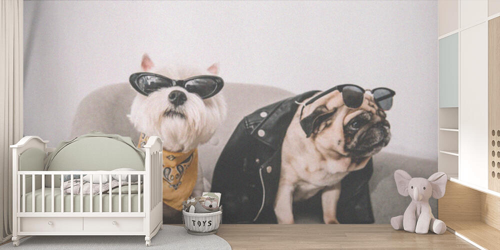 stylish dogs in sunglasses, Bambini