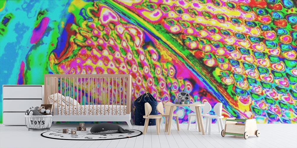 Creative and design art work, Bambini