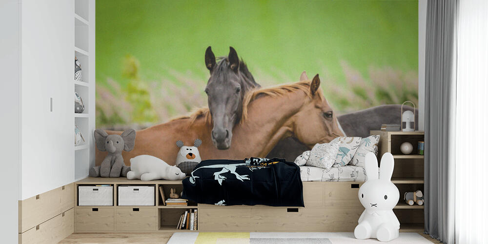 Two horses embracing, Bambini