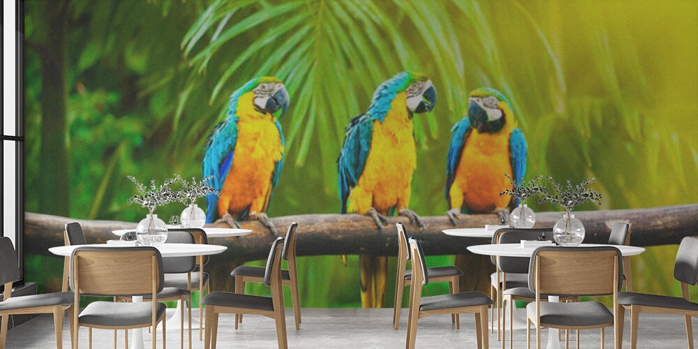 Blue-and-Yellow Macaw, Bar e Ristoranti
