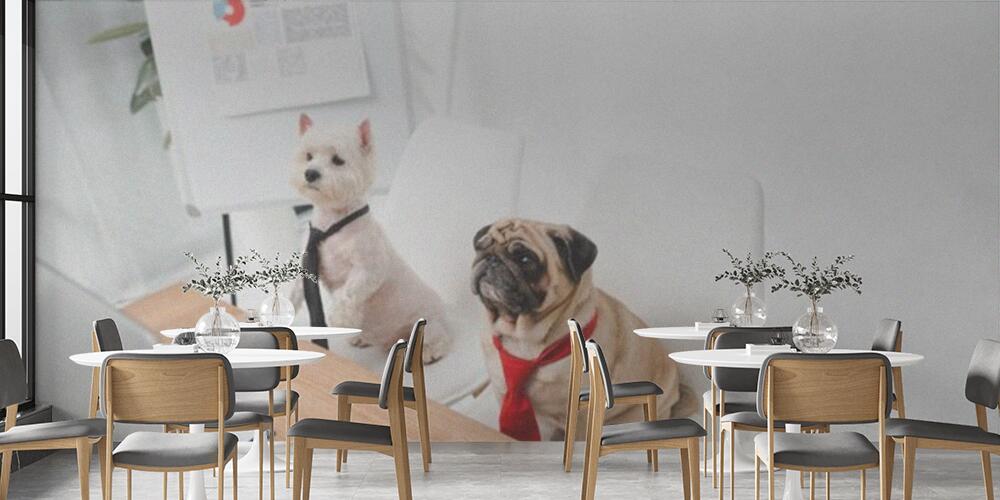 business dogs in neckties, Bar e Ristoranti