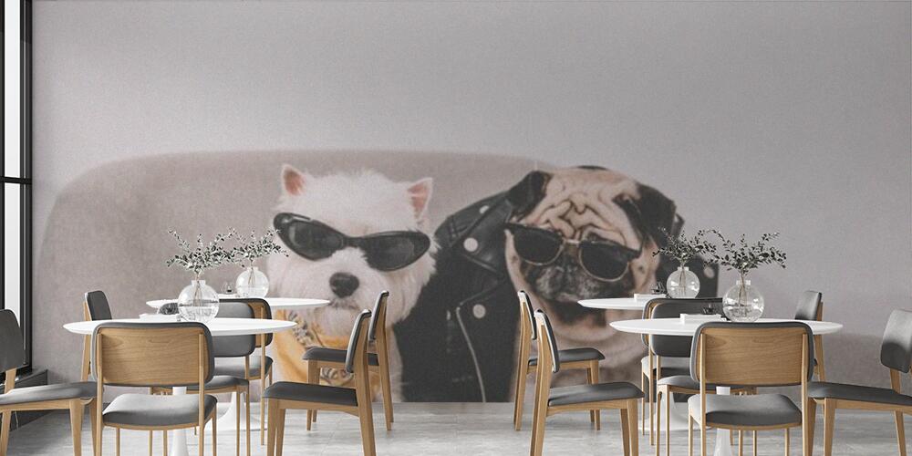 stylish dogs in sunglasses, Bar e Ristoranti