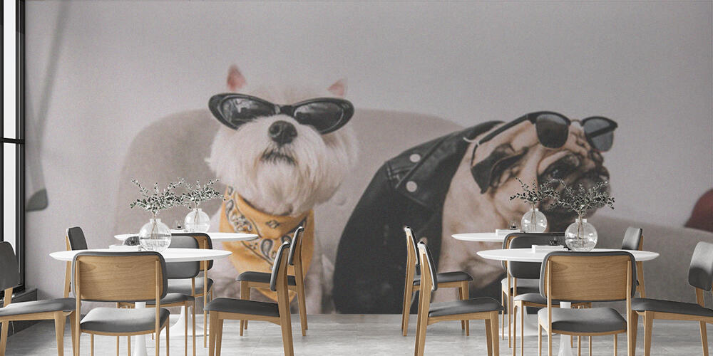 stylish dogs in sunglasses, Bar e Ristoranti