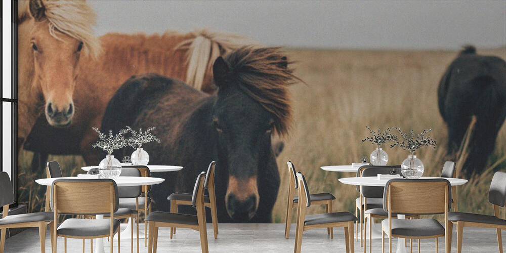 horses, Bar e Ristoranti