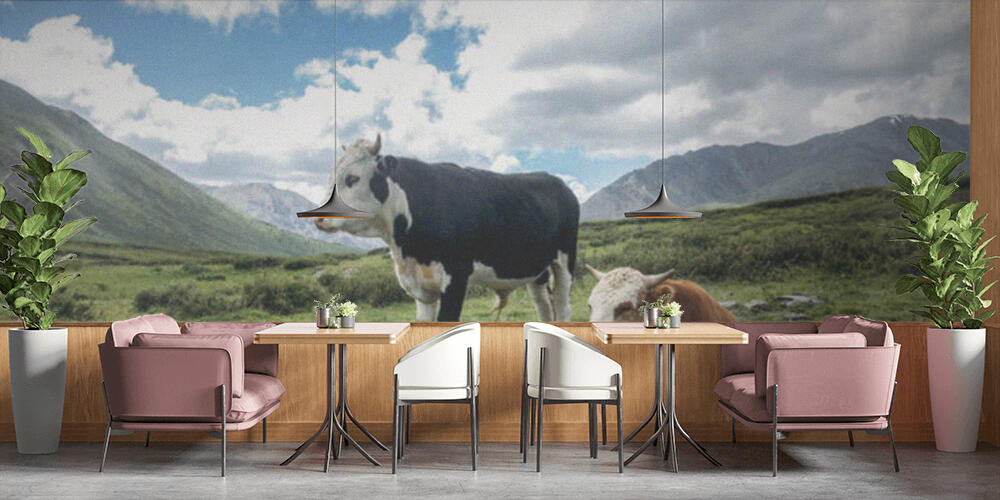 Cows, Bar e Ristoranti
