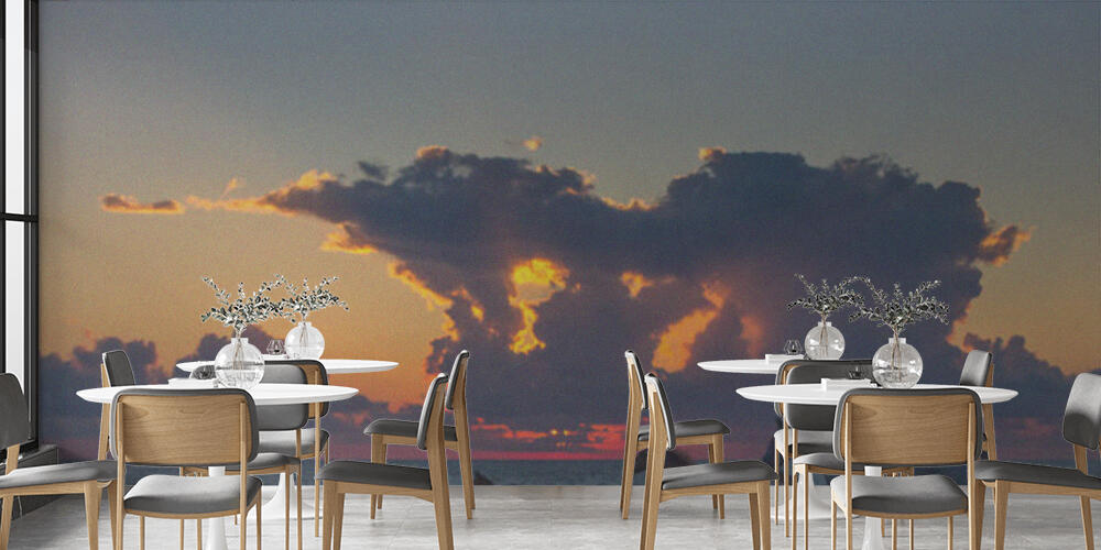 horses, Bar e Ristoranti