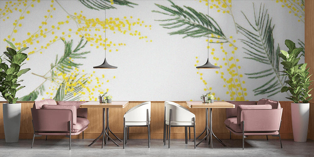 mimosa flowers on white background, Bar e Ristoranti