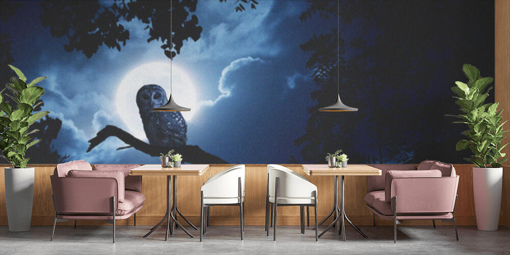 Owl Watches Intently Illuminated By Full Moon On Halloween Night, Bar e Ristoranti