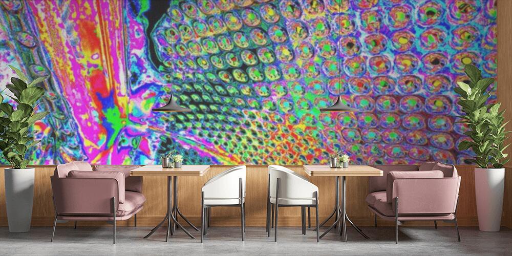 Creative and design art work, Bar e Ristoranti