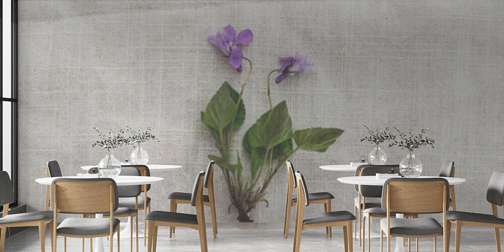 Viola reichenbachiana flower on rustic linen cloth background, Bar e Ristoranti