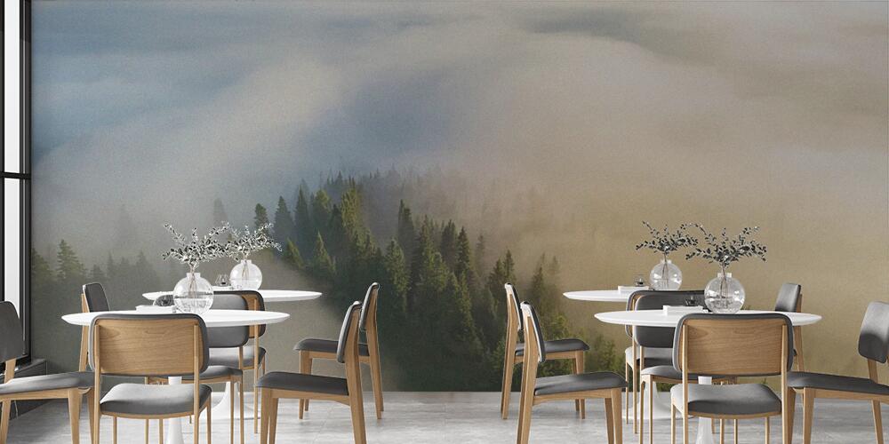 La foresta si risveglia nella nebbia, Bar e Ristoranti