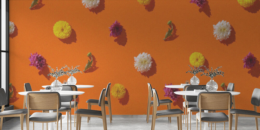 Creative pattern made of chrysanthemum flowers on bright orange background, Bar e Ristoranti