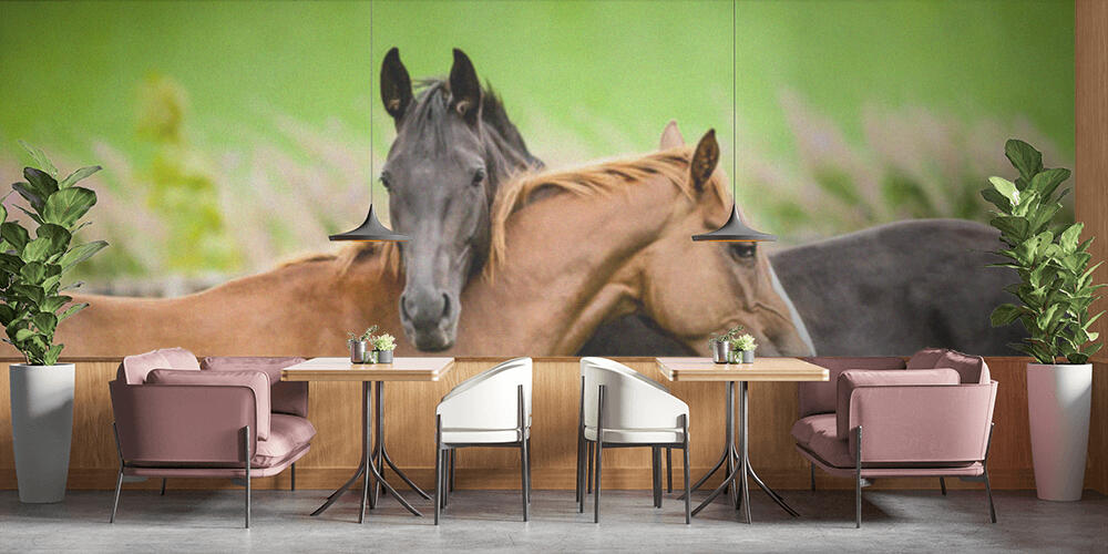 Two horses embracing, Bar e Ristoranti